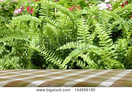 Picnic Table With Green Garden Background.