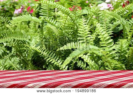Picnic Table With Green Garden Background.