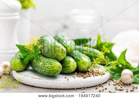 Fresh cucumbers and ingredients for conservation. Preparation marinated salted cucumbers with herbs and salt.