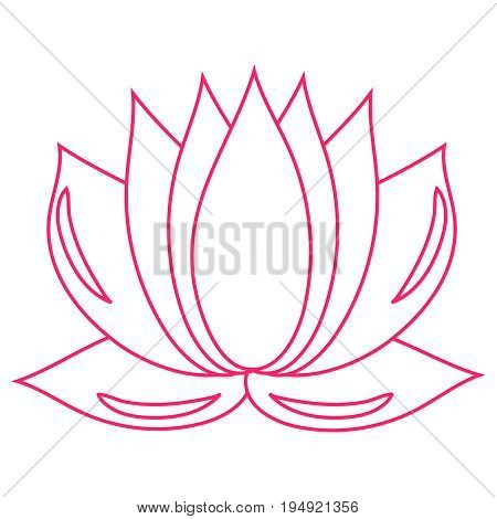 Lotus. The pink flower is a symbol of purity and enlightenment. You can use as a logo, trademark, icon. Suitable for illustrating yoga and oriental teachings. design element.