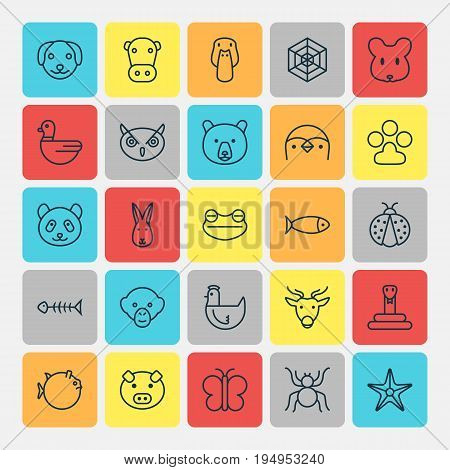 Nature Icons Set. Collection Of Spider, Moth, Night Fowl And Other Elements. Also Includes Symbols Such As Moth, Butterfly, Kine.