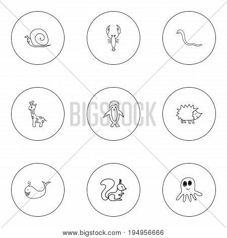 Set Of 9 Editable Zoology Icons. Includes Symbols Such As Polar Bird, Cachalot, Lobster And More. Can Be Used For Web, Mobile, UI And Infographic Design.