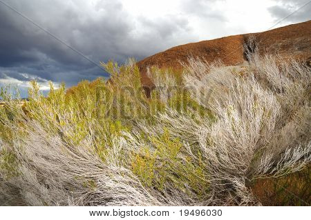 Australia - paesaggio vicino l'onda gigante surf granito di Hyden rock
