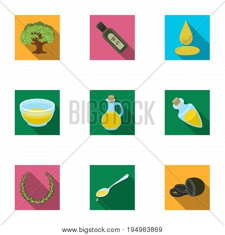Olives, tree, branch and other products from olives.Olives set collection icons in flat style vector symbol stock illustration .