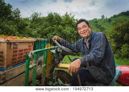 Asian farmer driving tractor in the fields during harvest in countryside. rambutan worker sitting on his tractor smiling.