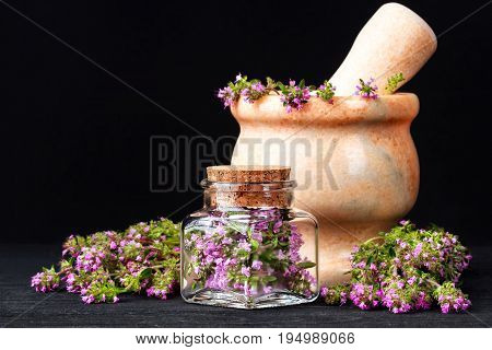 Thyme