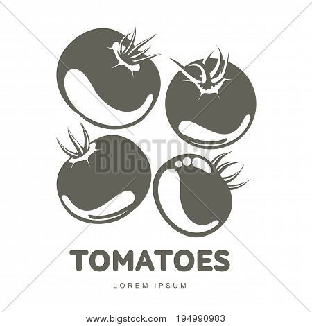 Tomatoes Logo Templates Illustration