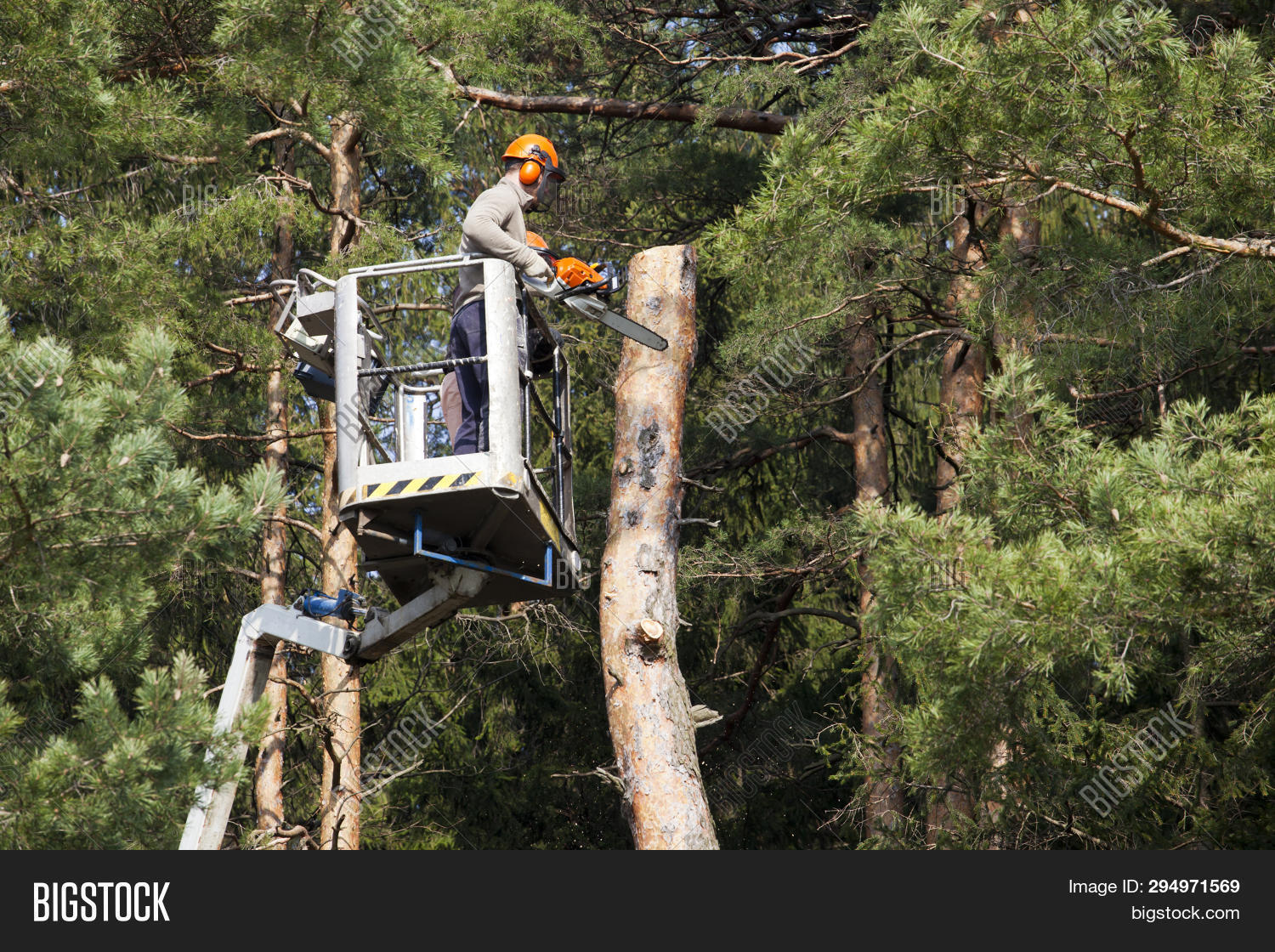 Two Workers Chainsaw Image & Photo (Free Trial) Bigstock