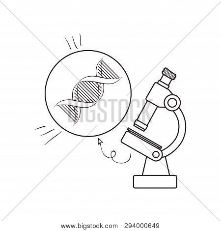 Dna Chain With Microscope Vector Illustration Design