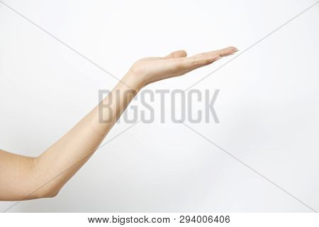 Hand Woman's Holding Something