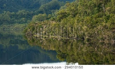 Morning Shot Of Temperate Rain Forest On The Gordon River In Tasmania