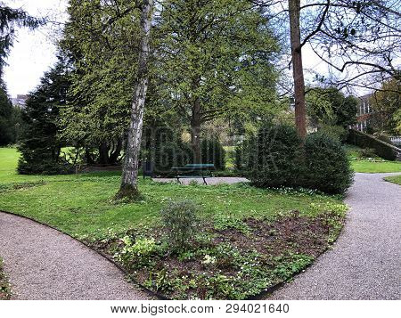 Villa Boveri Park Or Der Garten Der Villa Boveri Or Landschaftsgarten (parkanlage Der Villa Boveri),