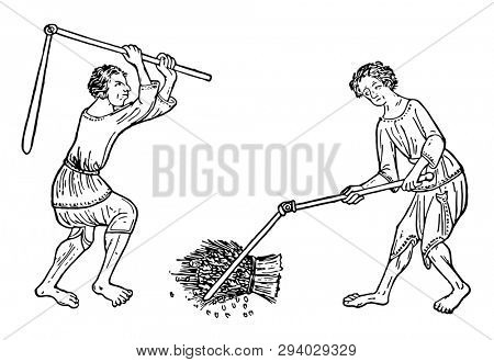 Two workers threshing wheat bundle with the help of flails, vintage line drawing or engraving illustration.