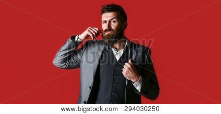 Sexy Male, Macho, Long Beard. Studio Portrait Of A Bearded Hipster Man. Male Beard And Mustache. Han