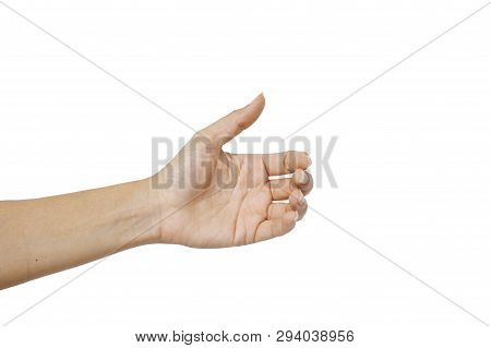 Hand Woman's Holding Something