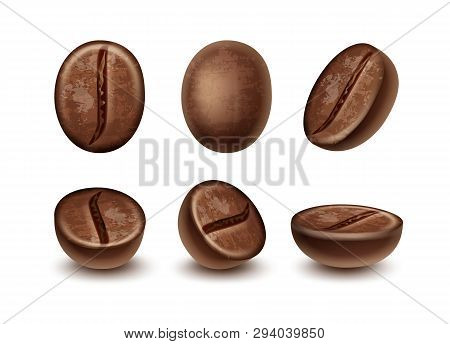 Vector Set Of Fresh Roasted Coffee Beans In Different Positions Isolated On White Background
