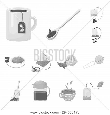 Vector Illustration Of Green And Black  Icon. Set Of Green And Organic Stock Vector Illustration.