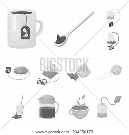 Vector Illustration Of Green And Black  Icon. Set Of Green And Organic Stock Vector Illustration.