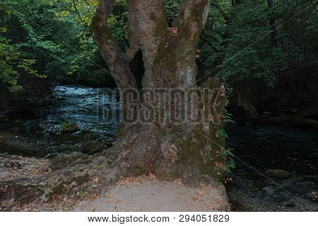 Agios Nikolaos Park Naousa Greece Europe