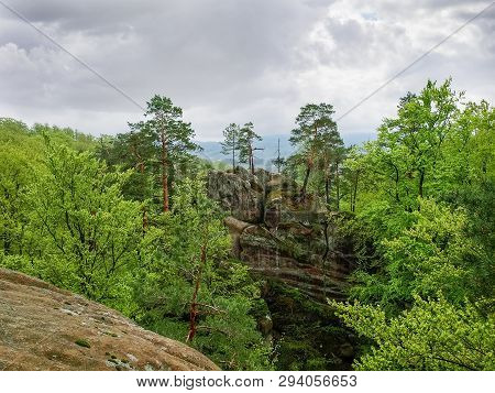Accumulation Of Gigantic Sandstone Rocks Among The Forest In Spring Cloudy Day. Landscape Park Dovbu