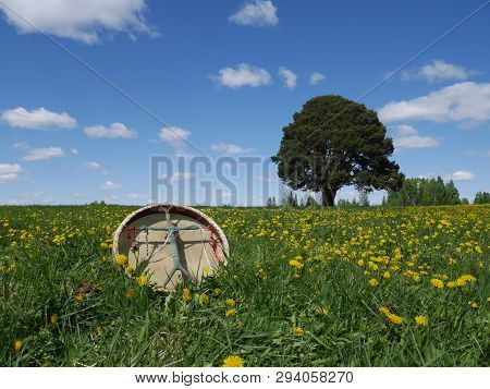 Shamanic Tambourine On A Meadow . Summer Countryside Landscape. The Green Box Is A Shaman And A Tamb