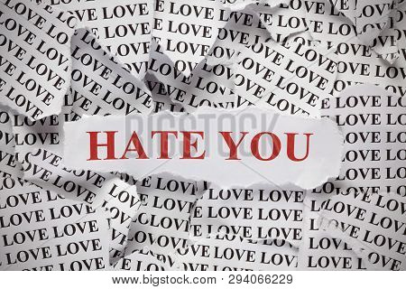 Hate You. Torn Pieces Of Paper With The Word 