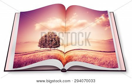Isolated Tree In A Tuscany Wheatfield - (italy) - Opened Photobook Isolated On White Background
