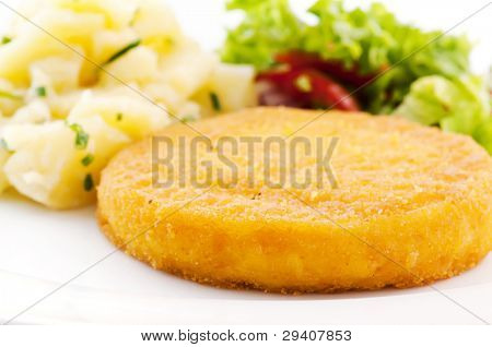 ปลา Camembert