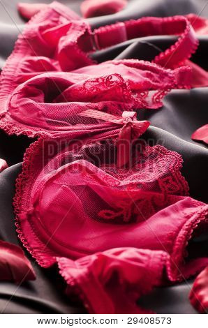 Lingerie