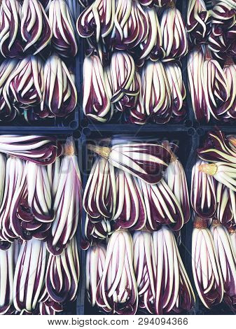 Radicchio Tardivo, Italian Red Chicory, Red Salad Healthy Vegetables On The Market Top View.