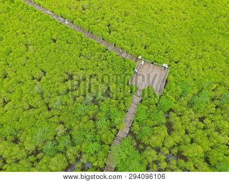 Drone Photography Of The Bird Eye View Of Spurred Mangrove Forest With Many Visitors Enjoy The View 