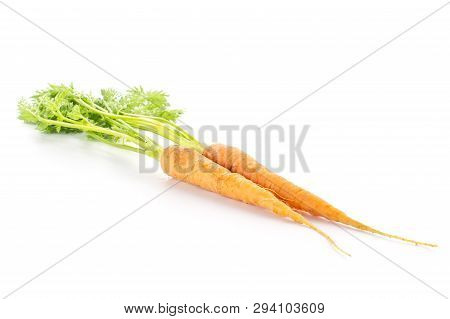 Group Of Two Whole Raw Fresh Orange Carrot With Greens Isolated On White Background