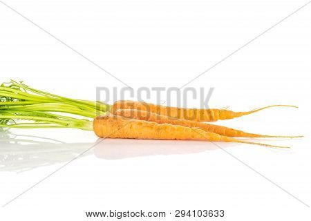 Group Of Three Whole Raw Fresh Orange Carrot With Greens Isolated On White Background