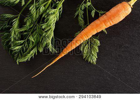One Whole Fresh Orange Carrot With Greens Flatlay On Grey Stone