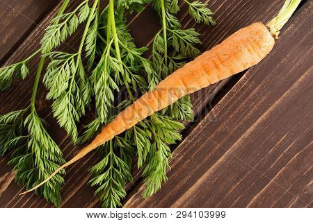 One Whole Fresh Orange Carrot With Greens Flatlay On Brown Wood