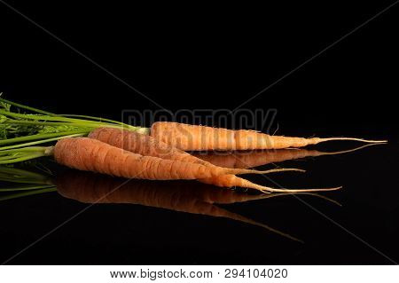 Group Of Three Whole Fresh Orange Carrot With Greens Isolated On Black Glass