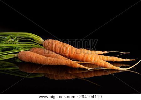 Group Of Five Whole Fresh Orange Carrot With Greens Isolated On Black Glass