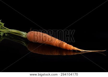 One Whole Fresh Orange Carrot With Greens Isolated On Black Glass