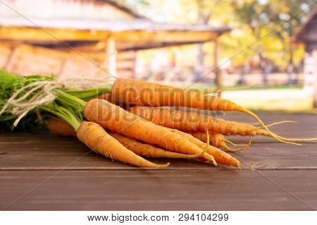 Lot Of Whole Fresh Orange Carrot Bunch With Greens Tied By Jute In A Yard