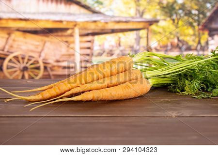 Group Of Five Whole Fresh Orange Carrot Bunch With Greens In A Yard