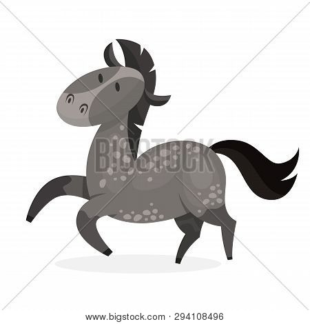 Horse Wild Or Domestic Animal. Grey Mammal