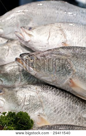 Fish market