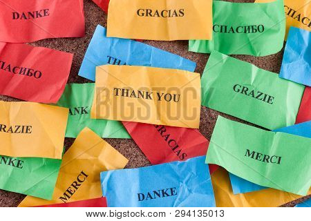 Thank You In Many Languages On Colorful Pieces Of Paper.
