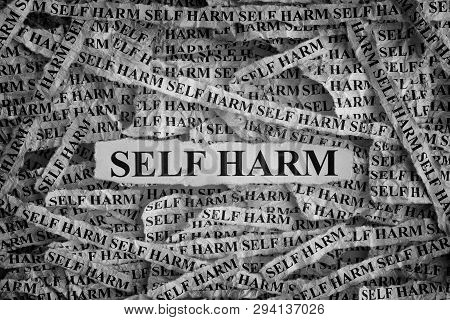 Self Harm. Torn Pieces Of Paper With The Words Self Harm. Concept Image. Black And White. Closeup.
