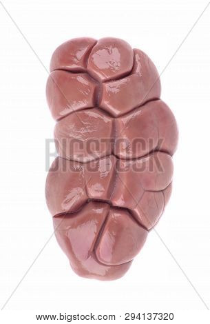 Beef Kidney Raw Isolated On White Background. Close Up. Cow Kidney Isolated.