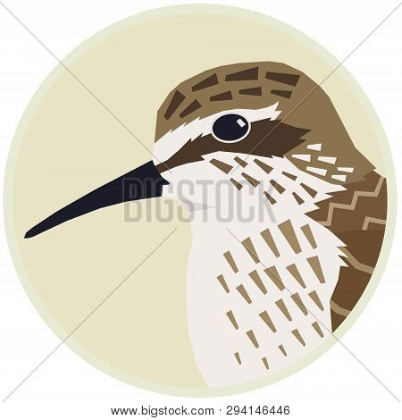 Sandpiper Vector Illustration Of A Bird In A Round Frame Set