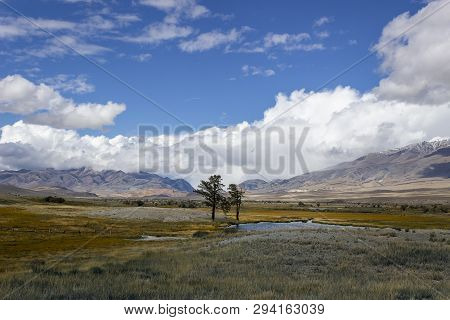 Huge Field Stone In Savanna Against Blue Sky Background. Serengeti National Park, Tanzania, Africa.