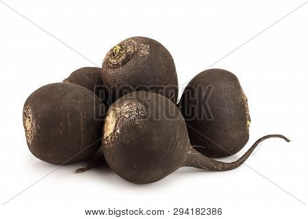 Five Black Radish Isolated On White Background
