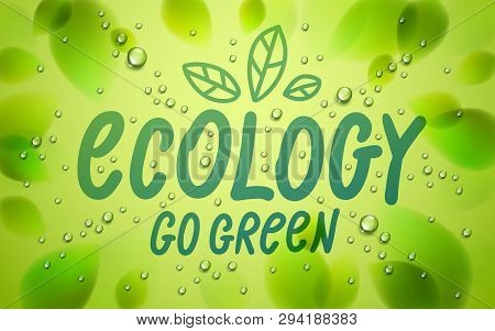 Ecology Word Drawn On A Window, Fresh Green Leaves And Water Rain Drops Or Condensate Macro, Vector 
