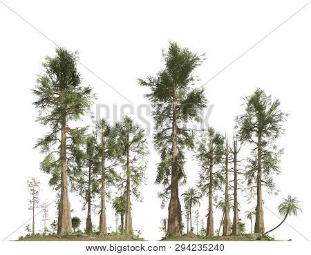 Forest Of The Mesozoic Era Isolated On White Background 3d Illustration